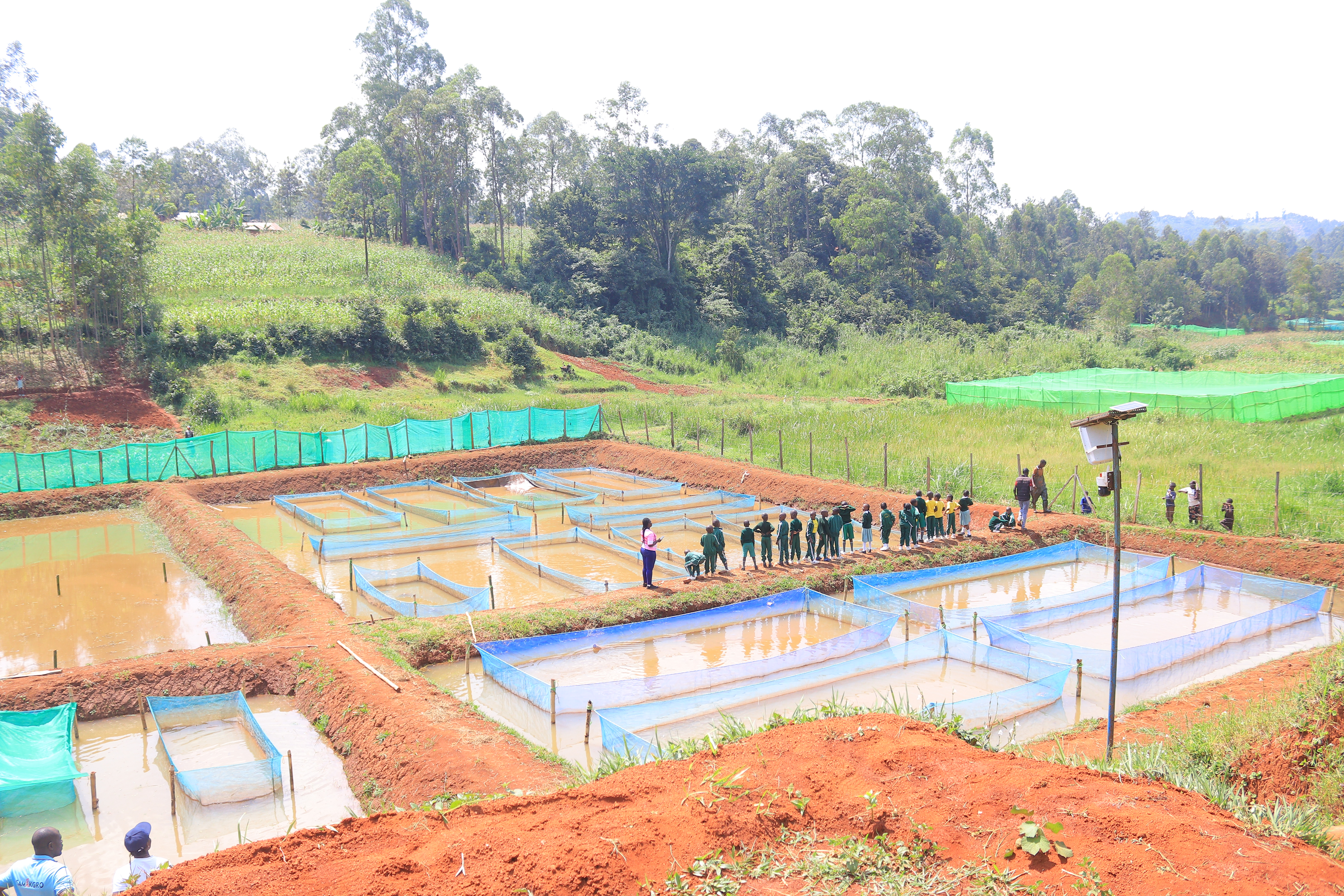 Fish Farming Training